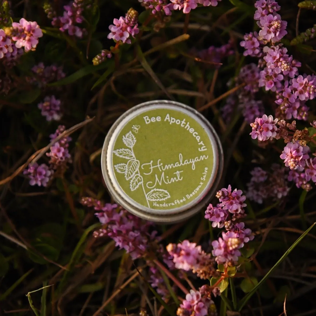 Himalayan Mint Beeswax Salve- 15g