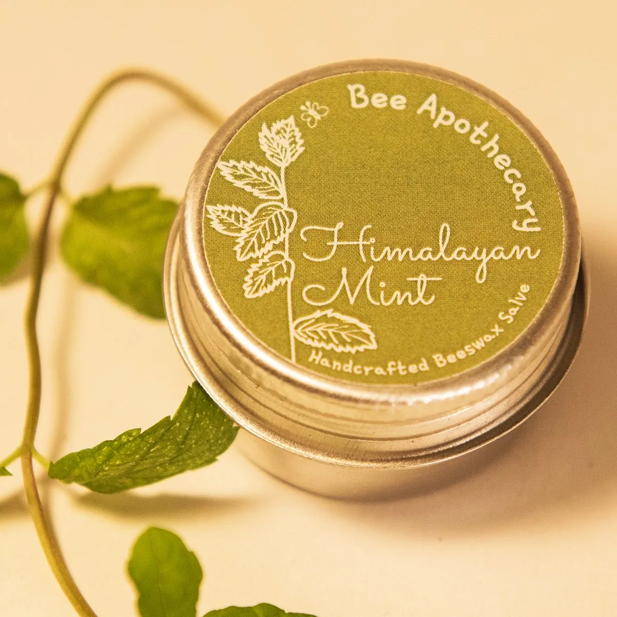 Himalayan Mint Beeswax Salve- 15g